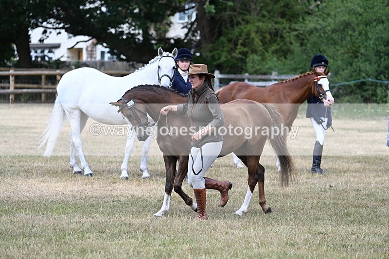 WJ7_1548 - Class 4 Prettiest Mare up to 14.2hh in hand