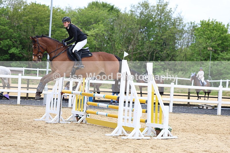 3E7A6054 - Class 4: Senior British Novice/90cm open