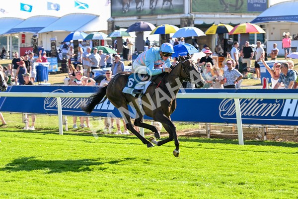 110725-Race 7-Secret Beach-4704 - Race 7 5.40pm William Hill Bet In Running Apprentice Handicap