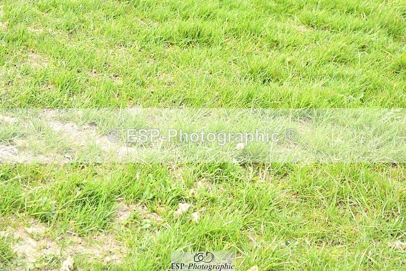 250329-134559-04946 - Cls 23 95cm National Amateur Quali