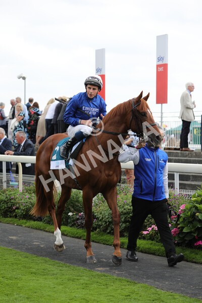 yr18082022r6-16 - Race 6 4.45 pm OR8wellness ebfstallions Nursery Handicap