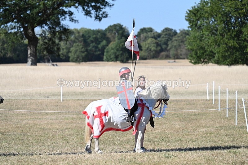 WJ7_2769 - Class 45 Fancy Dress (My Fav)