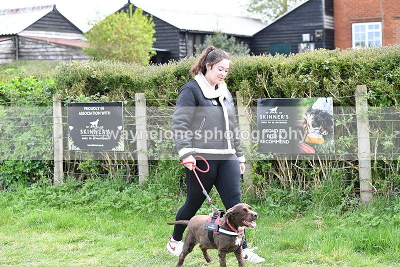 WJ5_9925 - Class 5 Best Veteran / 7 years & over