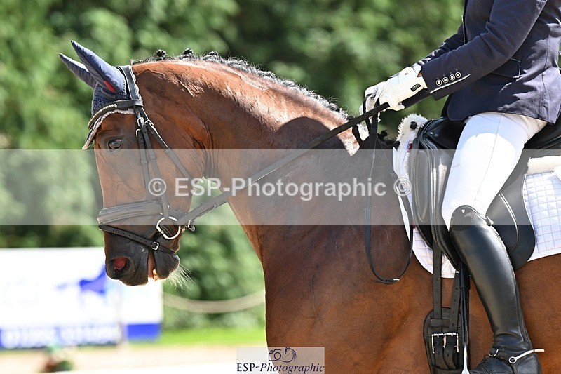 240811-143133-06383 - 231-Louise.Hutchinson-Donnarella