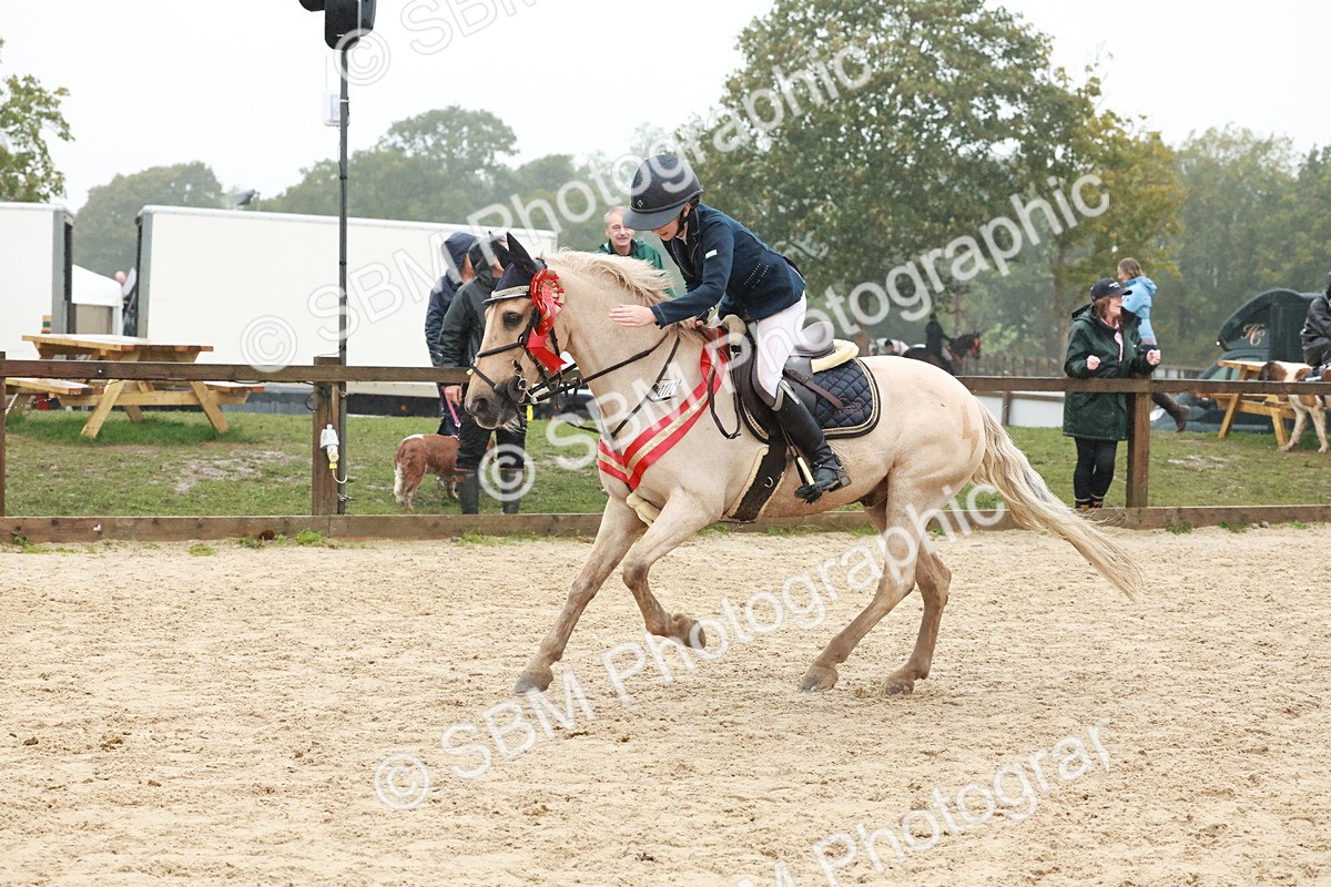 SBM_73662 - Supreme Championship Junior Pony 60cm & 65cm