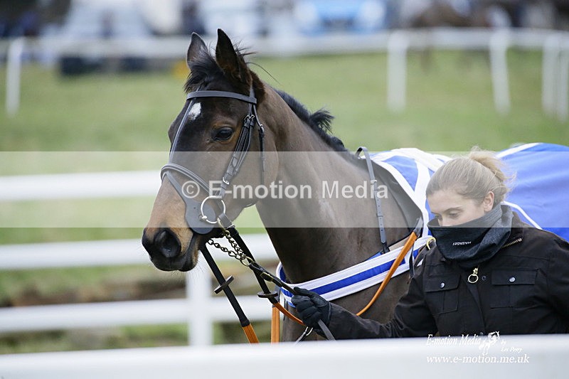 PtP 220122 606 - Royal Artillery Hunt Point-to-Point  - Larkhill Racecourse 22/01/22