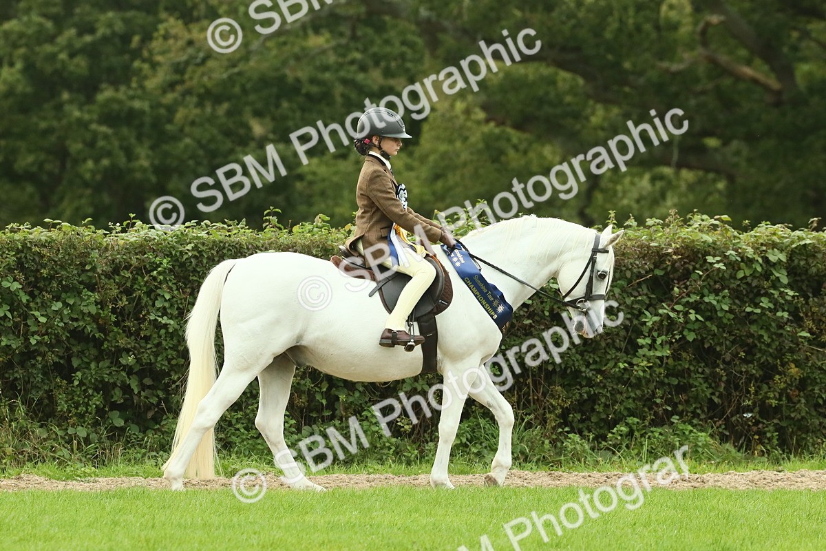 SBM_75135 - Super Supreme Championship