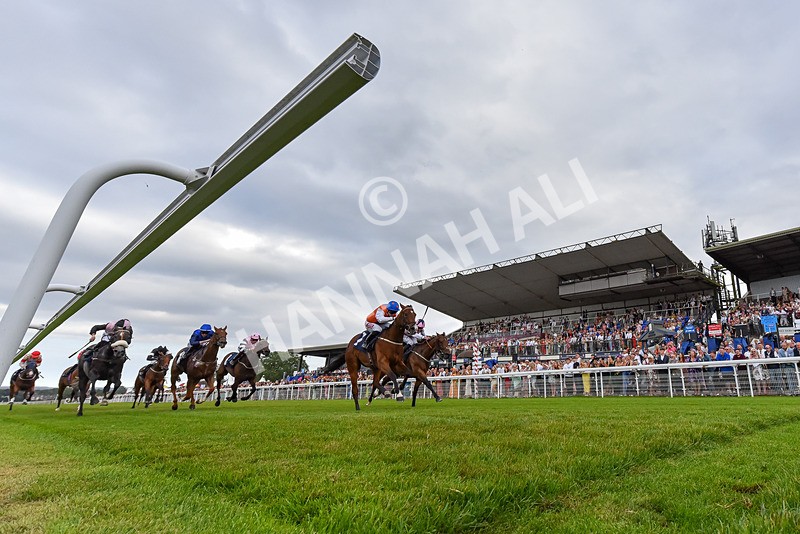 140824-Race 7-Willolarupi-3530 - Race 7