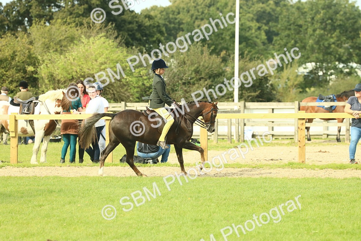 SBM_68063 - S57 - Part Bred Pony Ridden