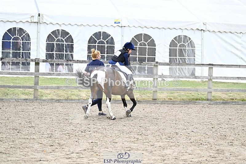 240822X-140703-08791 - 40cm LR R2 13.00 to 15.00