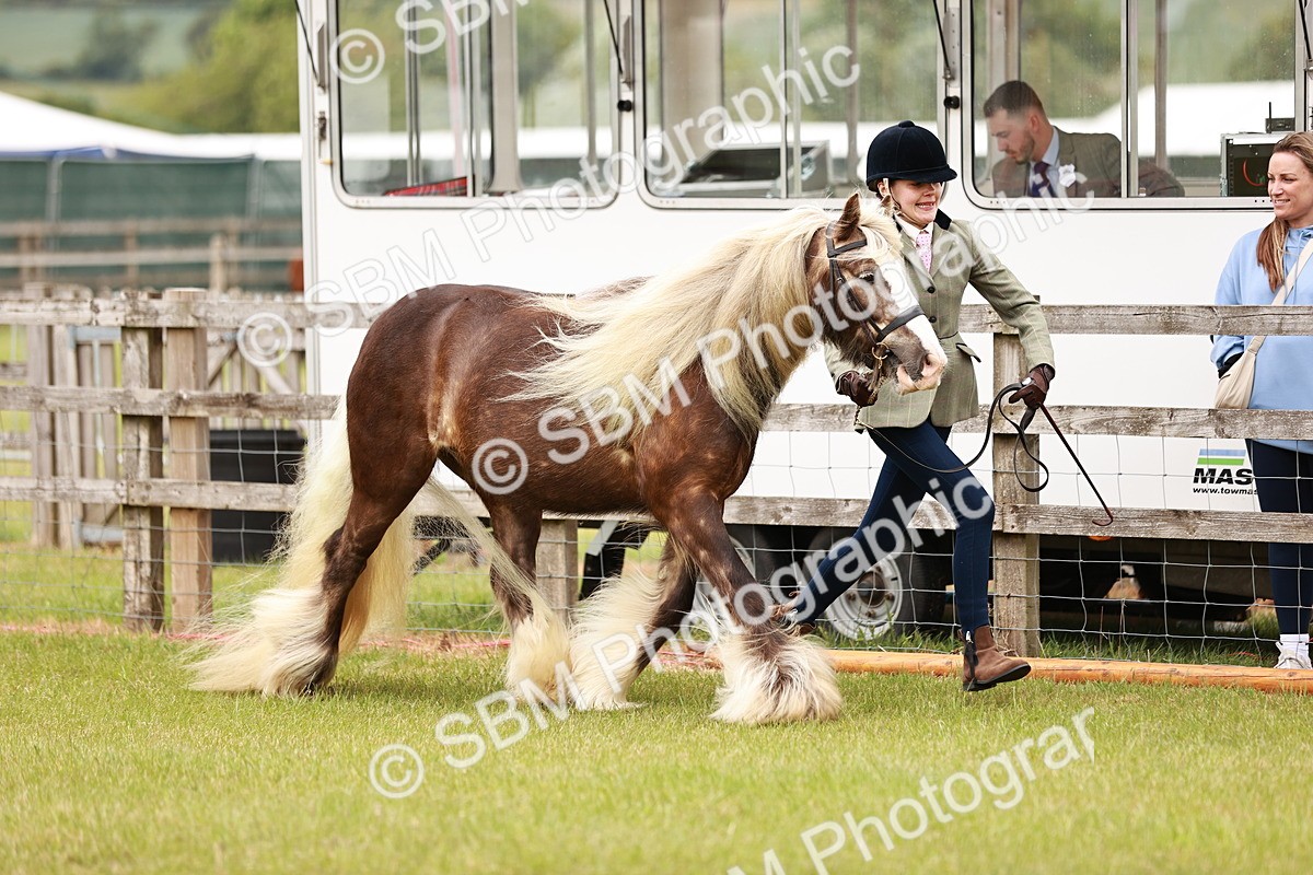 SBM_06027 - Class 39-41 TGCA In Hand and Ridden