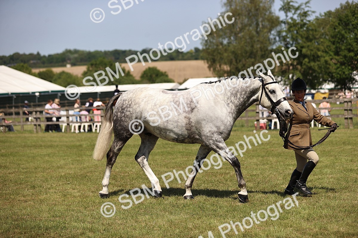 SBM_17770 - Class 81-83 - TSR Ridden Amateur of the Year - Horses