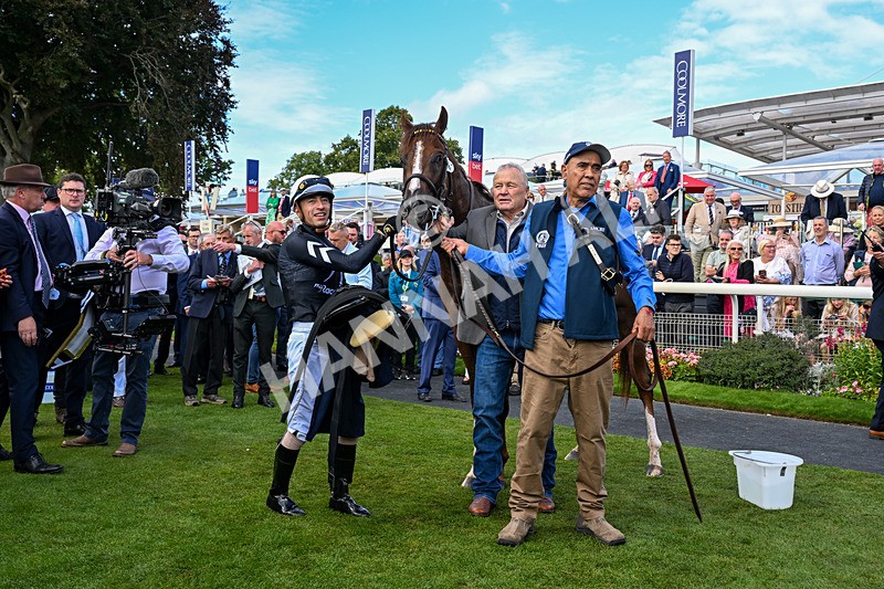 210826-Race 4-Bacio-0322 - Race 4 15.35pm Coolmore City Of Troy Nunthorpe Stakes