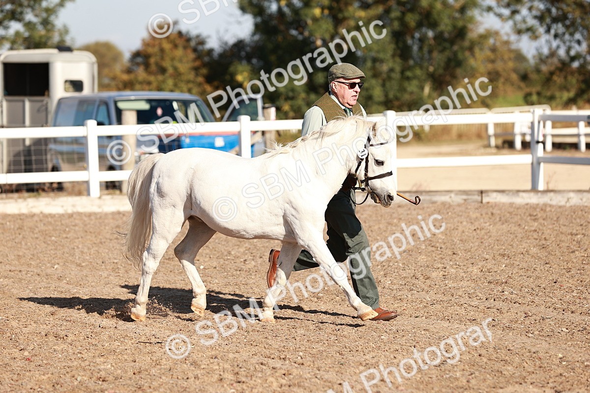 SBM_11383 - Class 402 - IH  Veteran pony