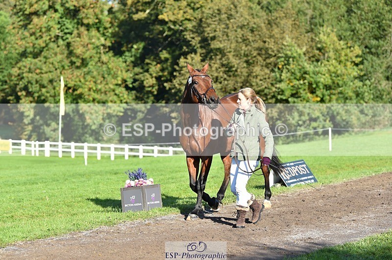 231022-101946-22418 - 433-WILLIAM-Laura.Sharpe-TrotUp+SJ