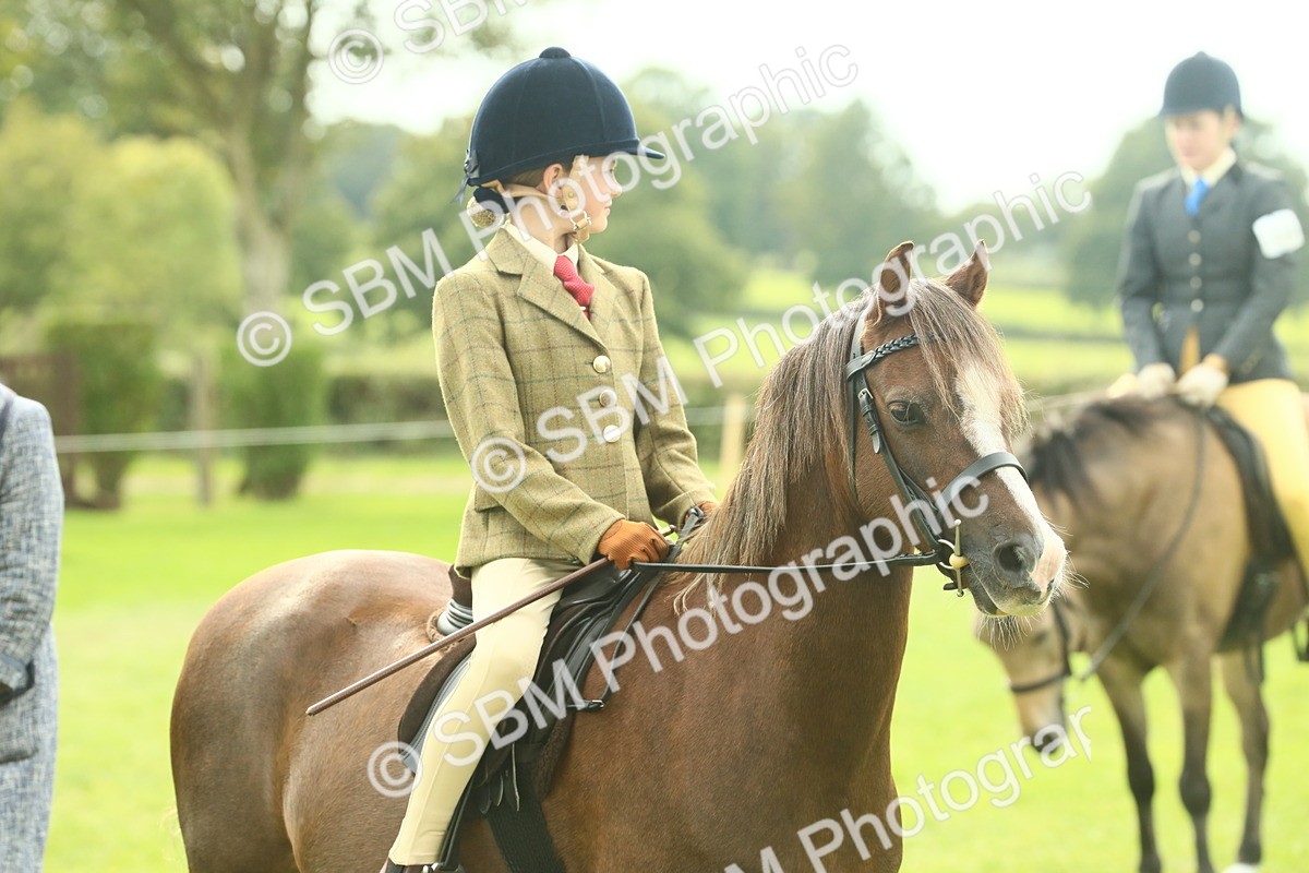 SBM_69877 - S59 - Mountain & Moorland Ridden Small Breeds