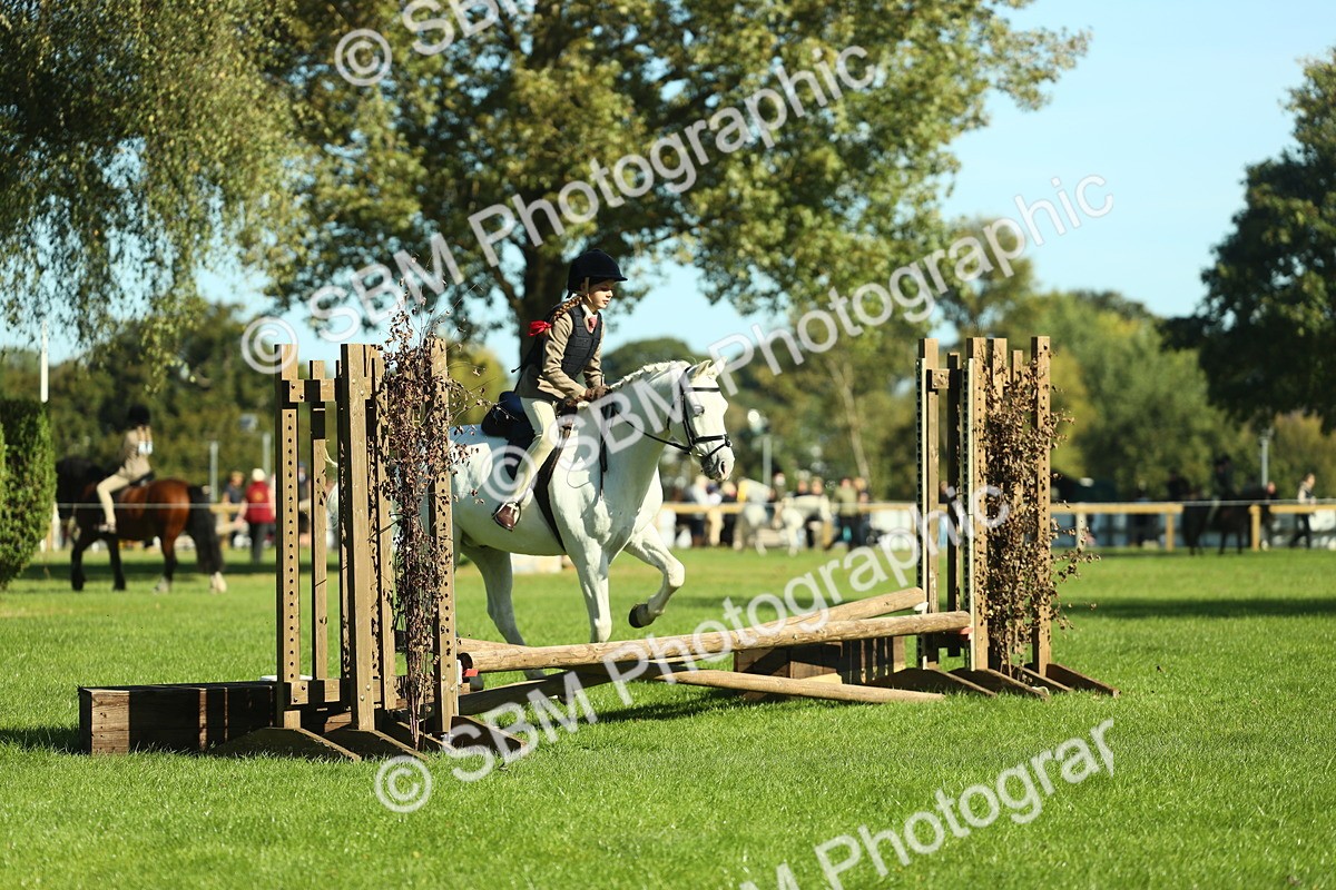 SBM_37495 - S29 - Novice & Newcomers Working Hunter Pony