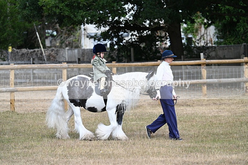 WJ7_6284 - Class 1 Lead Rein Pony