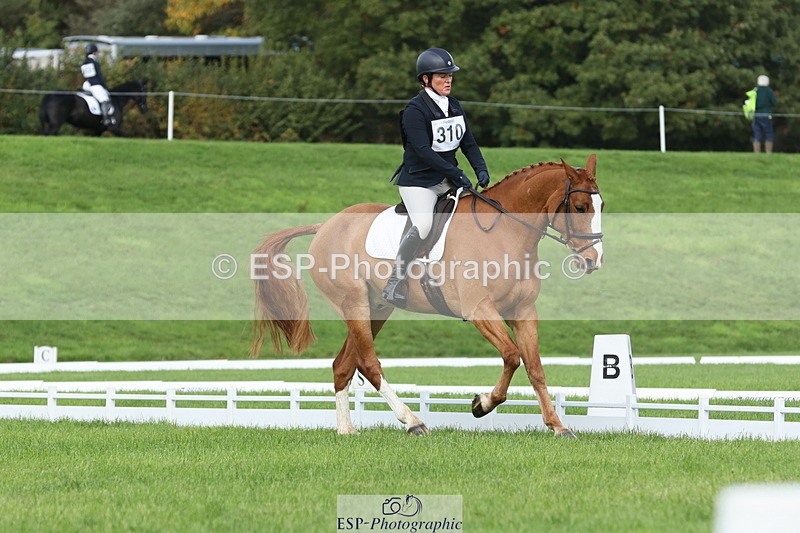 251023A-105101-03248 - D-310-Emily.R.Vincent