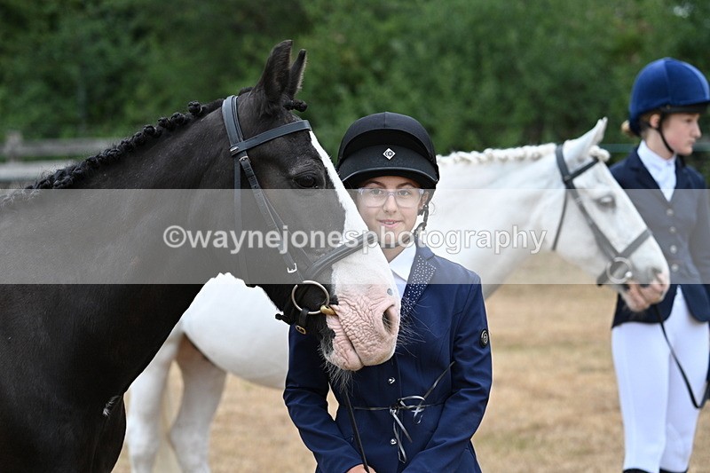 WJ7_9526 - Class 5 Most Handsome Gelding (up to 14.2hh)