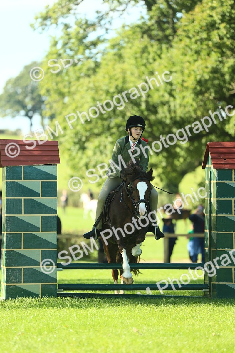 SBM_37469 - S29 - Novice & Newcomers Working Hunter Pony