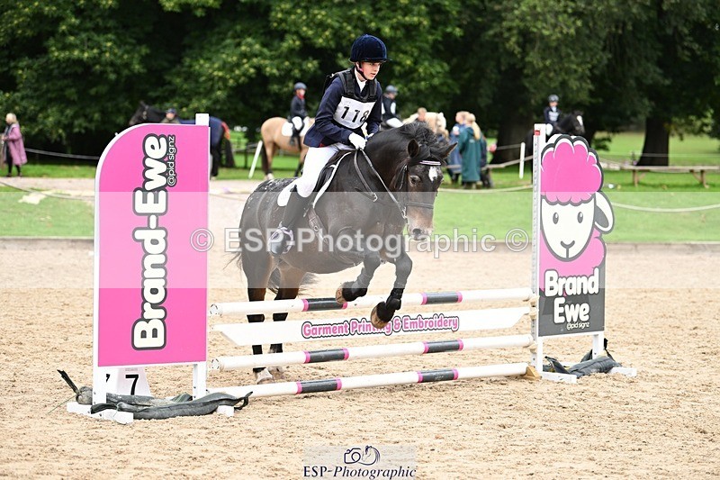 240929-100352-00183 - Cls 1 70-75cm