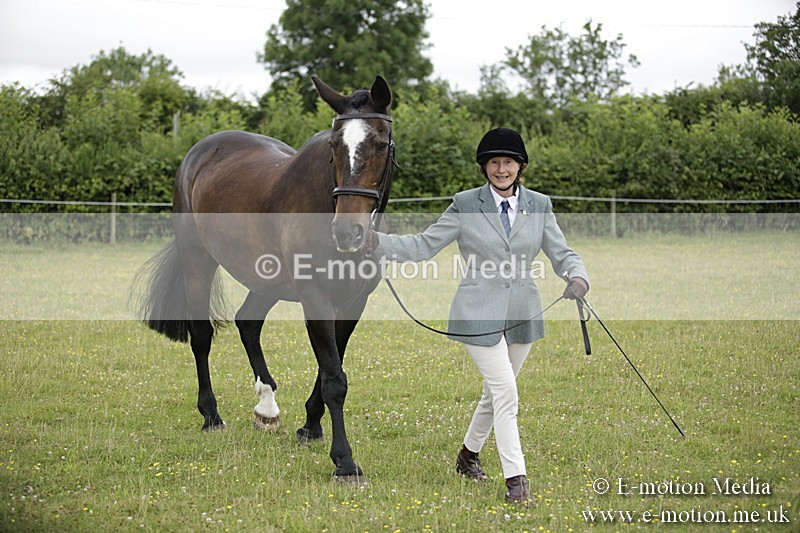 BVR160717-706 - Ring 2 BVRC Show 16/07/17