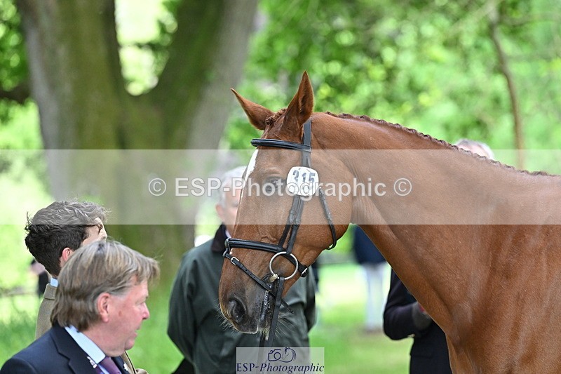 250521A-153008-00551 - B-315-Tom.McEwen-SHANNONDALE.ARNOLD