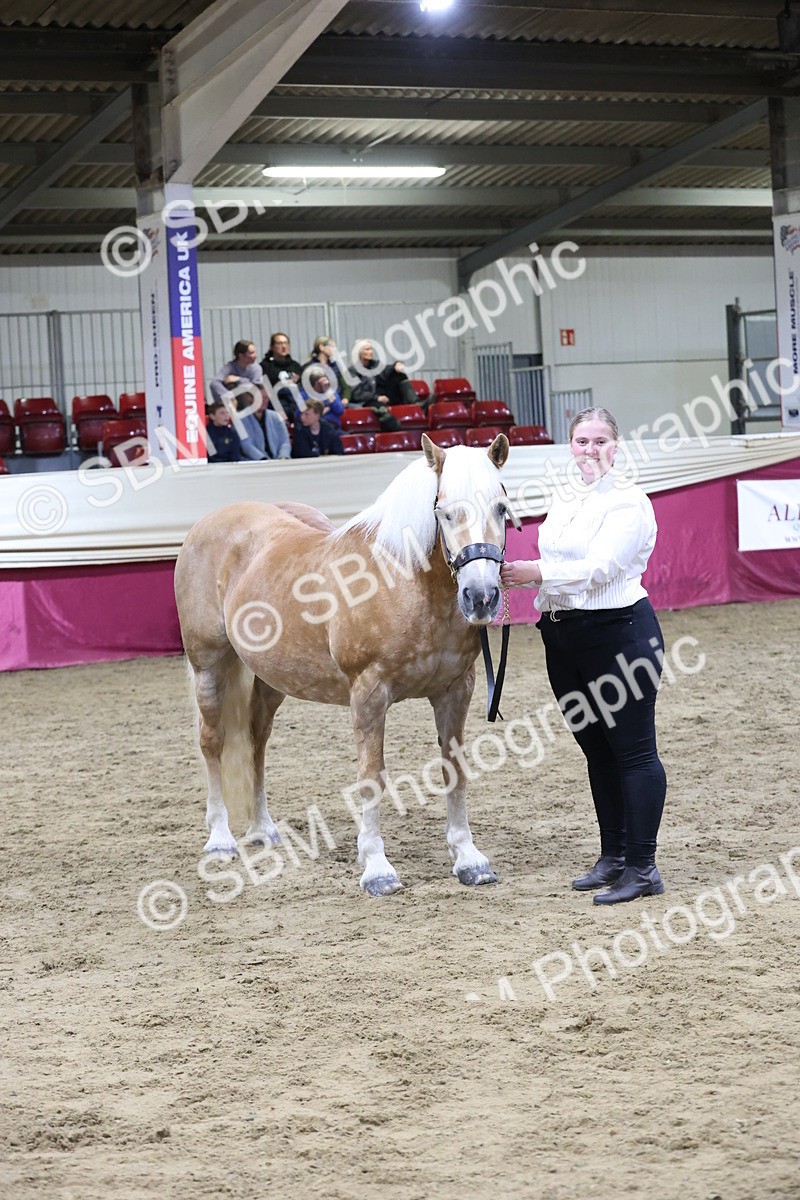 SBM_20728 - Class J - Foreign Breeds Champ