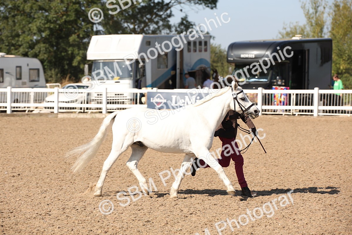 SBM_02666 - Class 16 IH M&M Wildcard