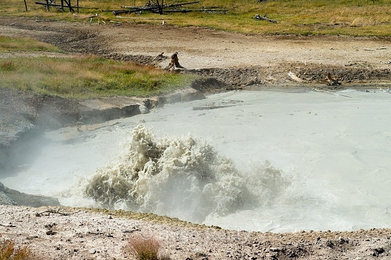  - Yellowstone