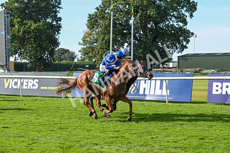 160924-Race 4-Watching Stars-2886 - Race 4