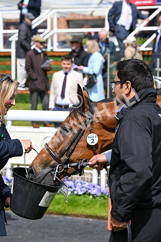 140526-Race 2-Jakajaro-4782 - Race 2 2.20pm Lindum York Handicap