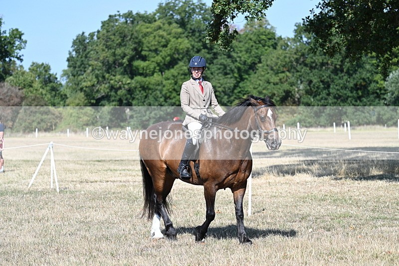WJ7_3505 - Class 9 Mountain & Moorland Ridden