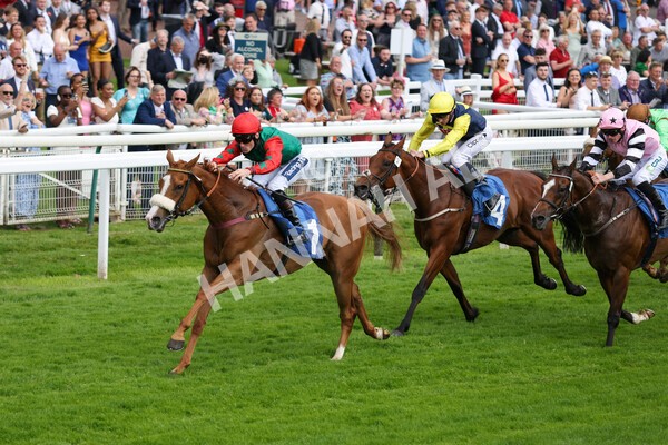 yr10062022r5-22 - Race 5 4.05pm Irish Thoroughbred Marketing Stakes