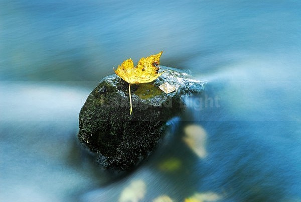 lll0061 - South Lakes