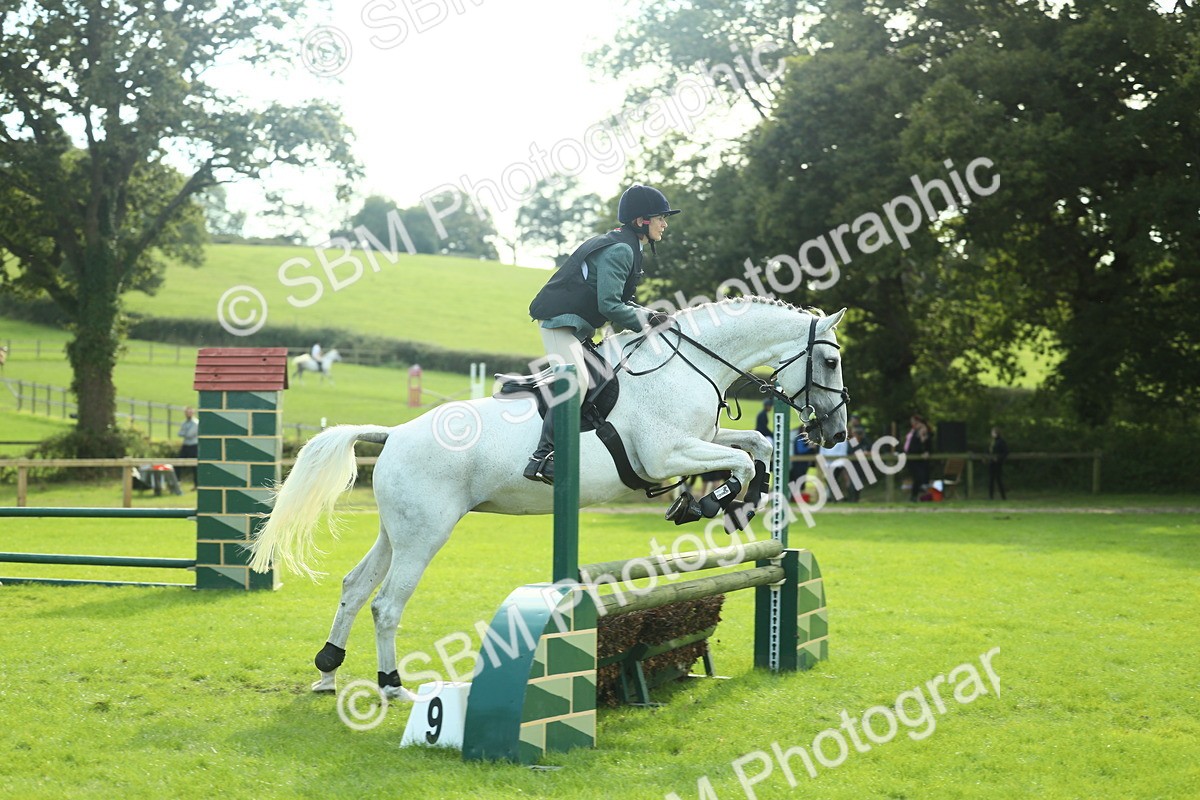SBM_50608 - S33 - Working Hunter & Working Show Horse