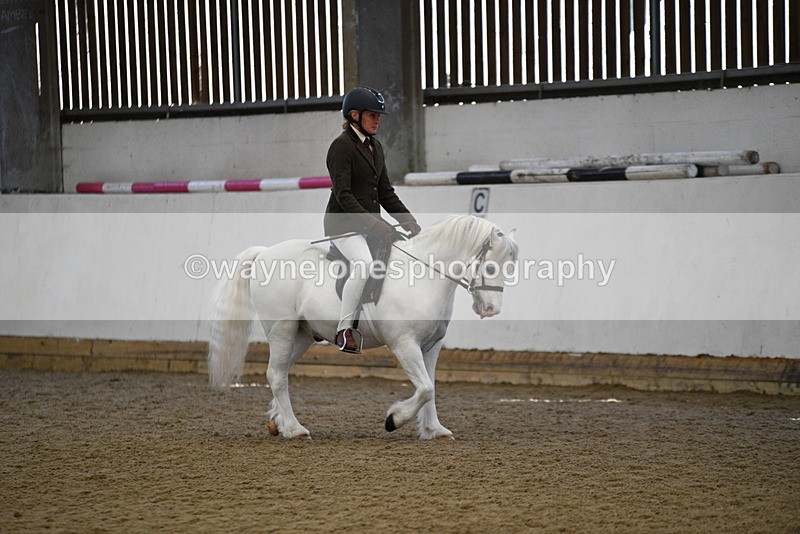 WJ5_5950 - Class 9 Ridden Veteran