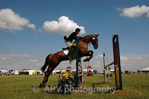 Jump Off... - Horses'n'Ponies