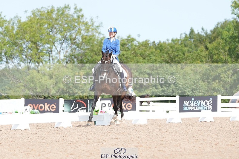 250815-111259-00775 - 012-Natasha.Collings-CostelloDovevale.Tender.Dove