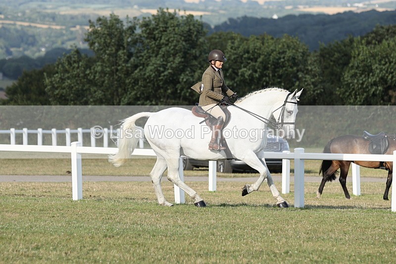 JPP_3519 - Class 22: Working Hunter 90cm