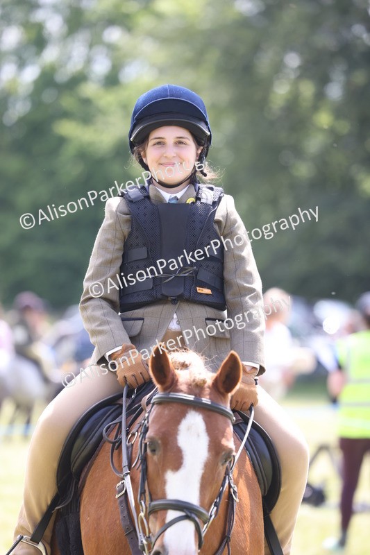 20260614-1920 - Class 21 - Novice Working Hunter Pony