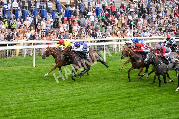 250725-Race 1-Pressures On - Quest For Fun-5351 - Race 1 5.30pm eventmasters.co.uk Handicap
