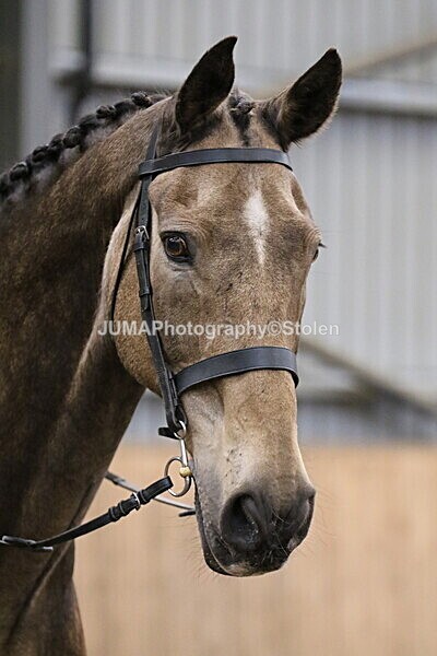 SIAL2691 - Sunday 14th Ridden