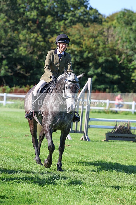 3E7A7781 - Class 2: Open Working Hunter pony