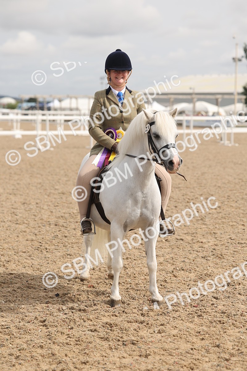 SBM_04592 - Class 19 - Horse/Pony Judge would most like to take home