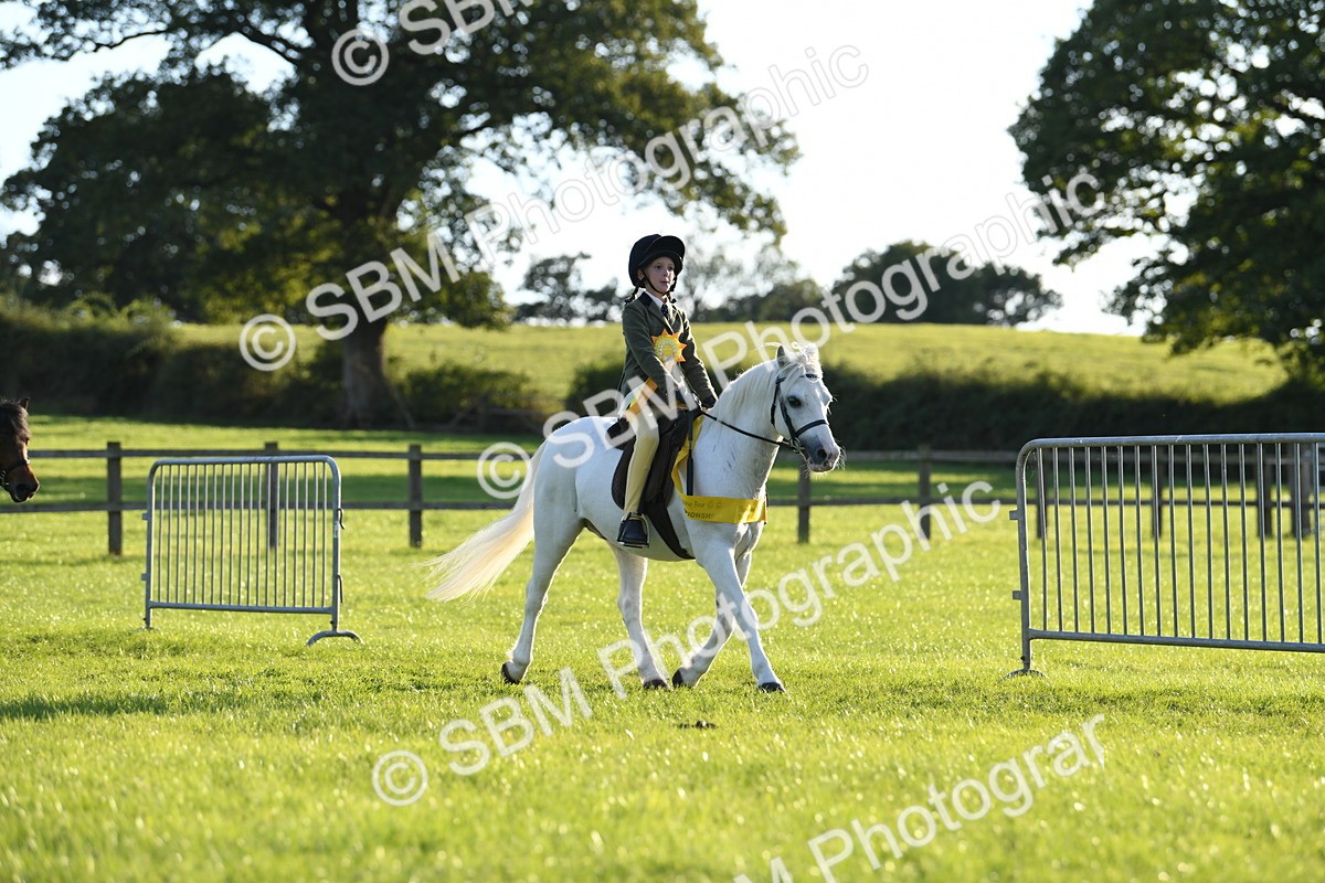SBM_54203 - S23 - 1st Ridden Mountain & Moorland Pony