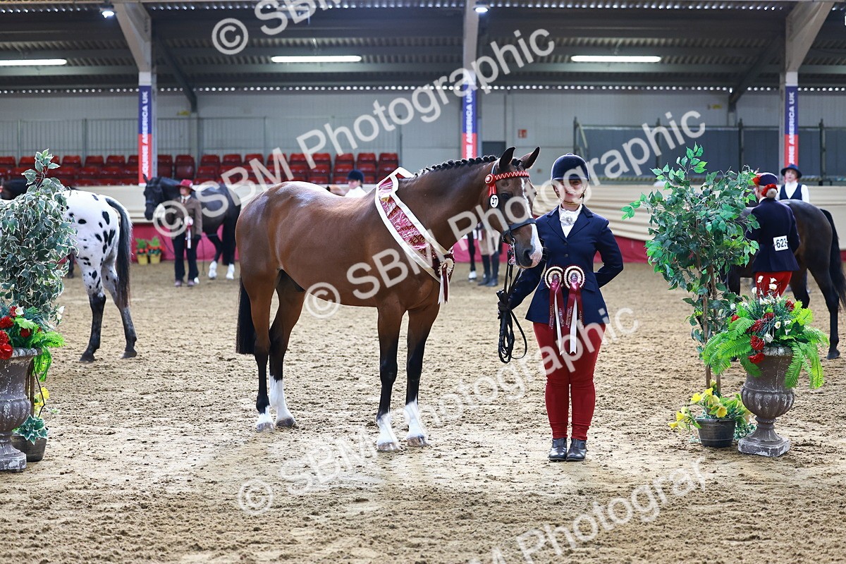 SBM_21925 - Class 901 - Supreme Final - IH  Diamond