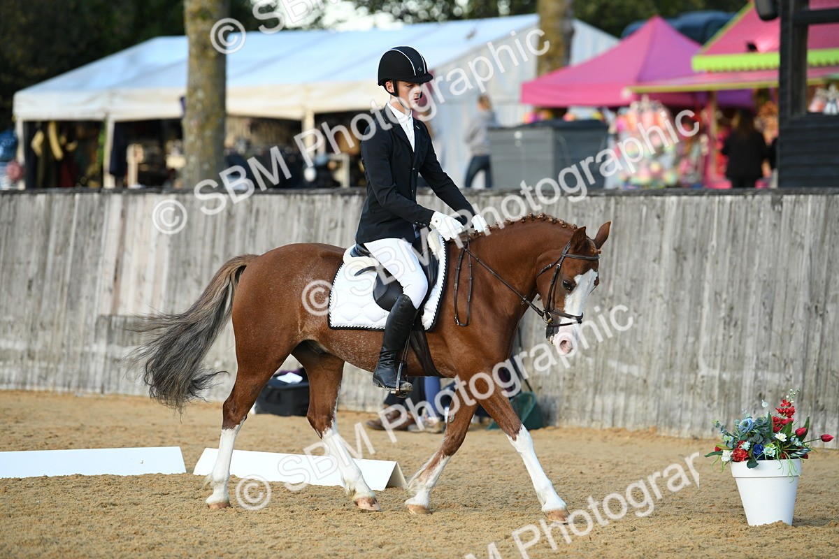 SBM_30974 - D16 - Small Tour Championship - Novice 28