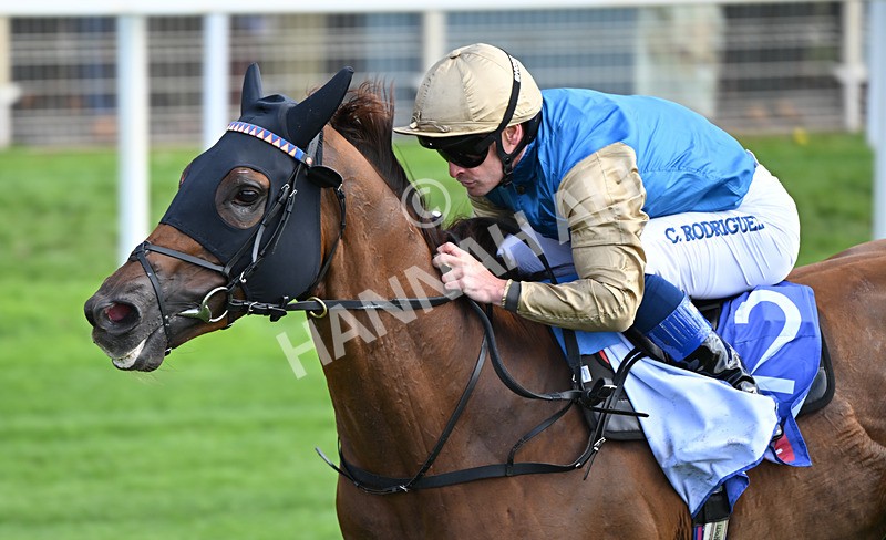 220826-014 Archivist - Race 1 13.50pm Sky Bet Strensall Stakes
